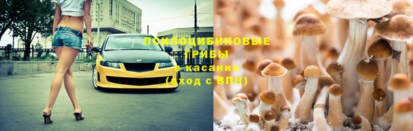 дживик Богородицк