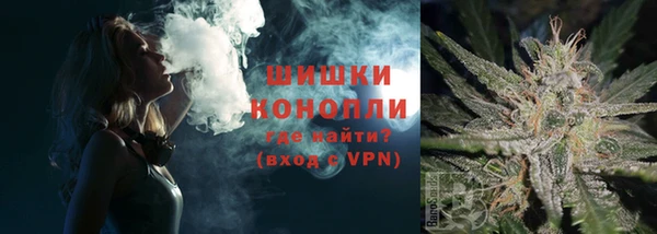 гашиш Богданович
