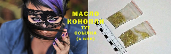 дживик Богородицк