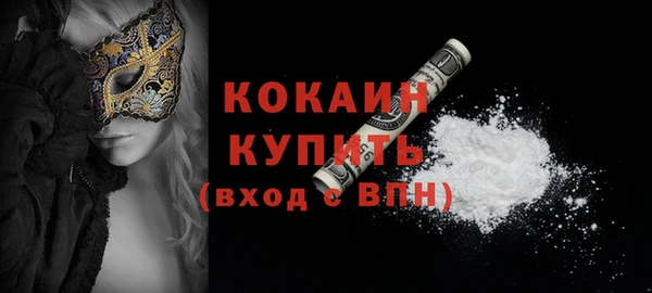 дживик Богородицк