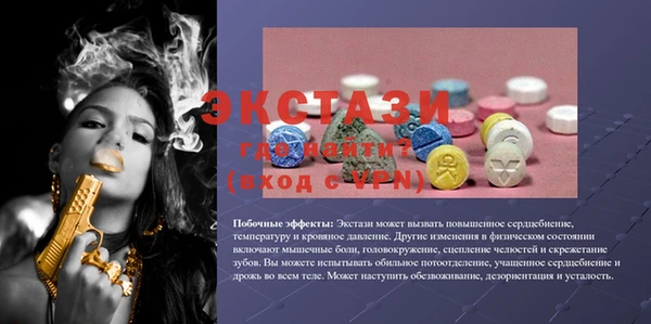 дживик Богородицк