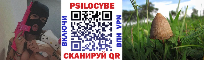 блэк спрут tor  хочу наркоту  Дубна  Псилоцибиновые грибы ЛСД 